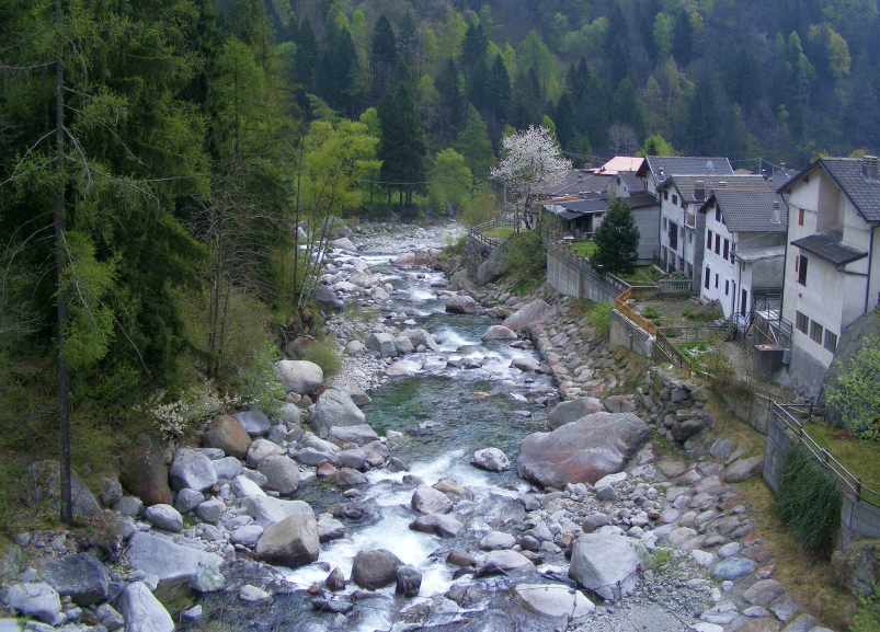 Forzo